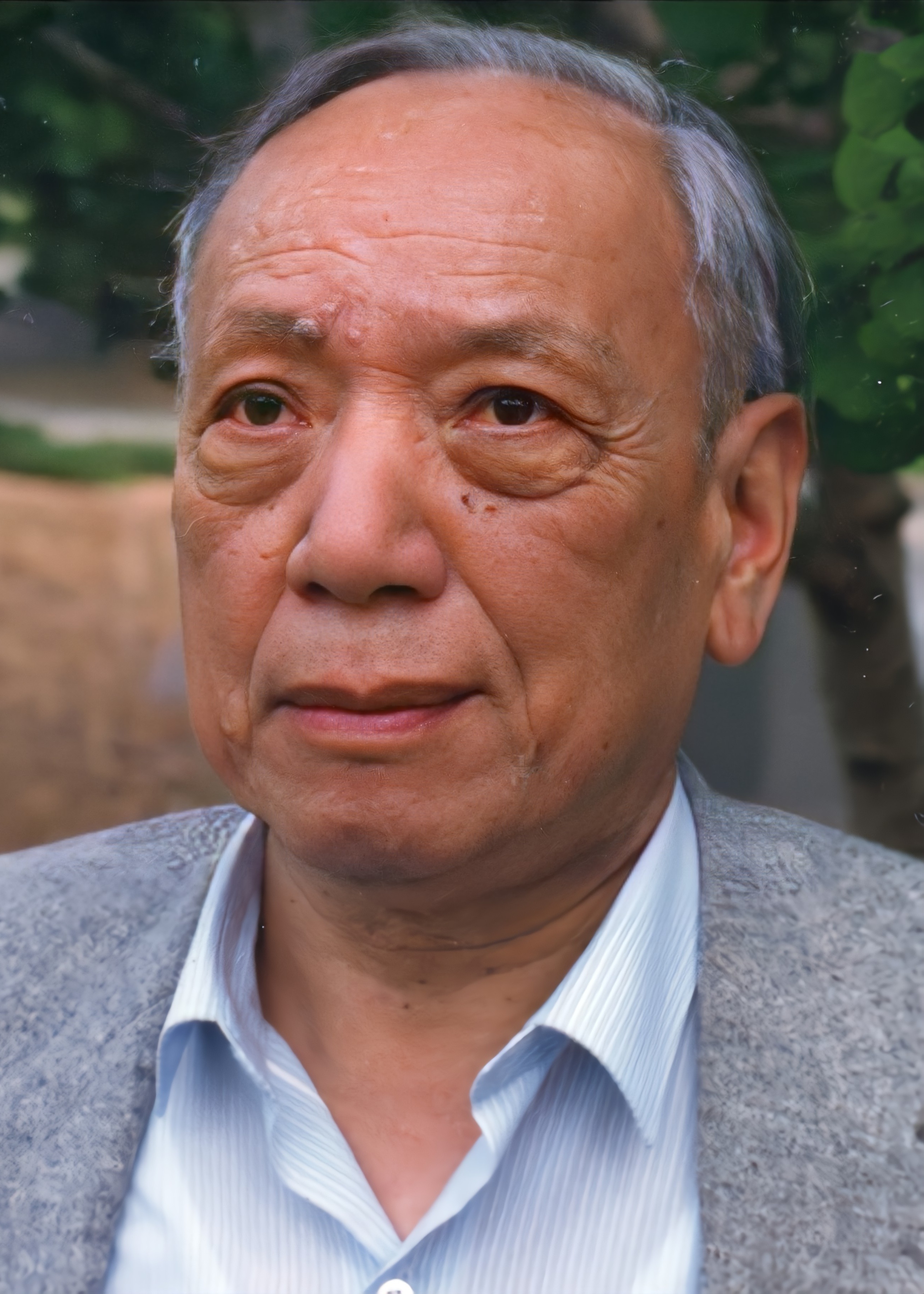陈省身